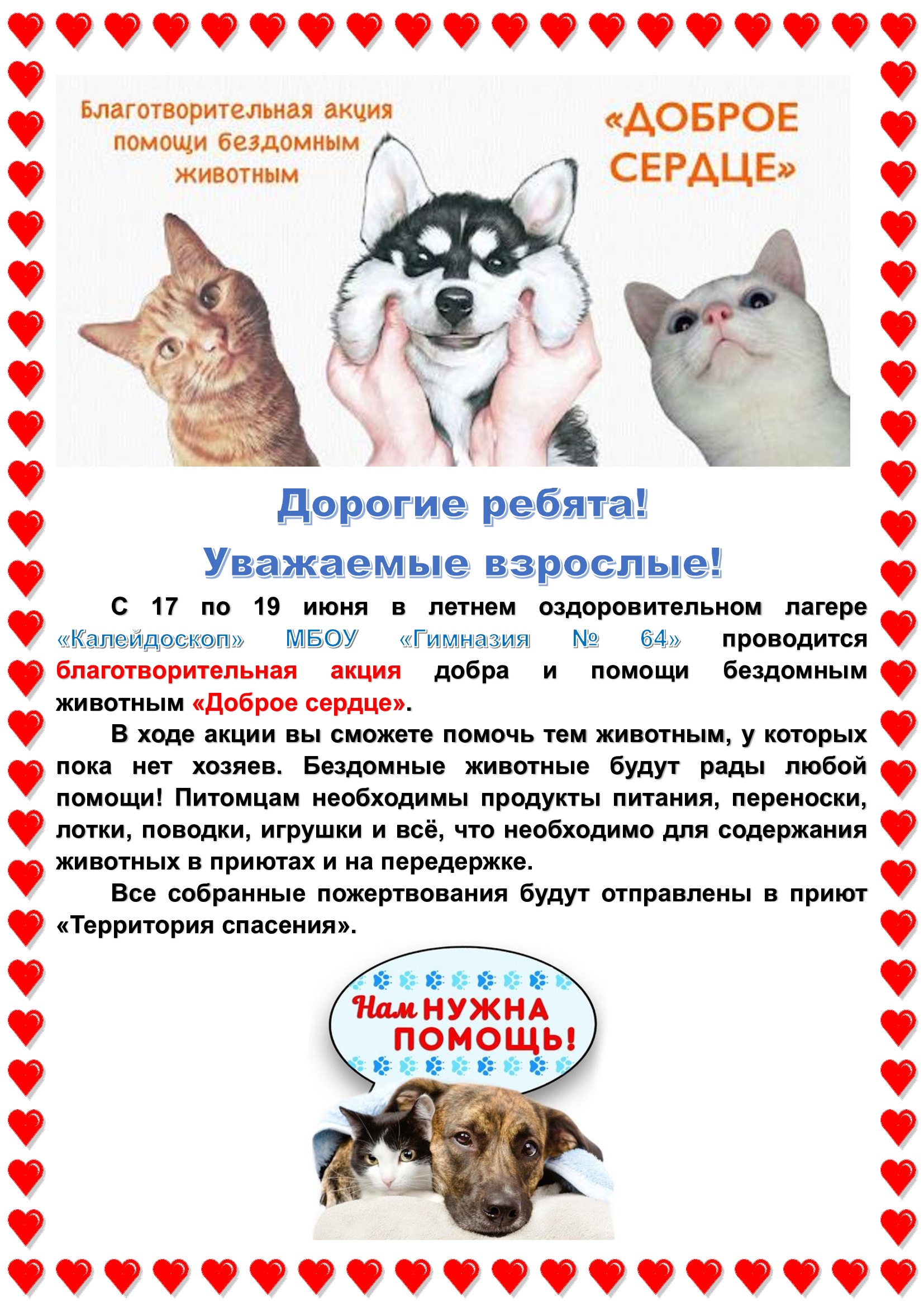 Итоги акции &amp;quot;Доброе сердце&amp;quot;.